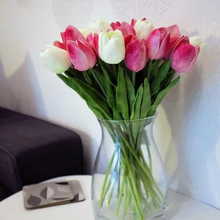 Garden Apt-free Parking,close D8,metro,expo