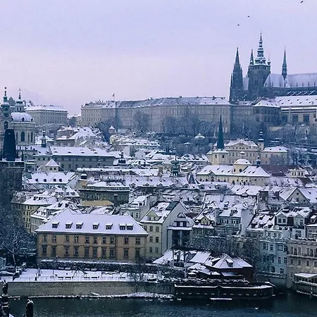 Garden Apt-free Parking,close D8,metro,expo 公寓