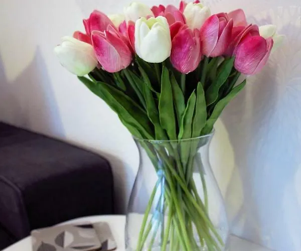 Garden Apt-free Parking,close D8,metro,expo