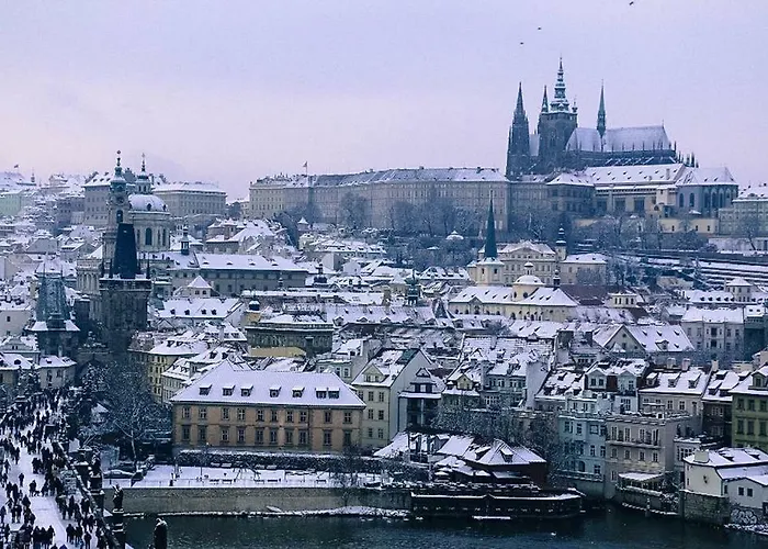 Garden Apt-free Parking,close D8,metro,expo شقة